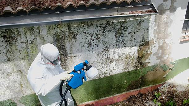Trusted Commercial Mold Remediation service in Carrollton, VA - Cheap Mold Removal